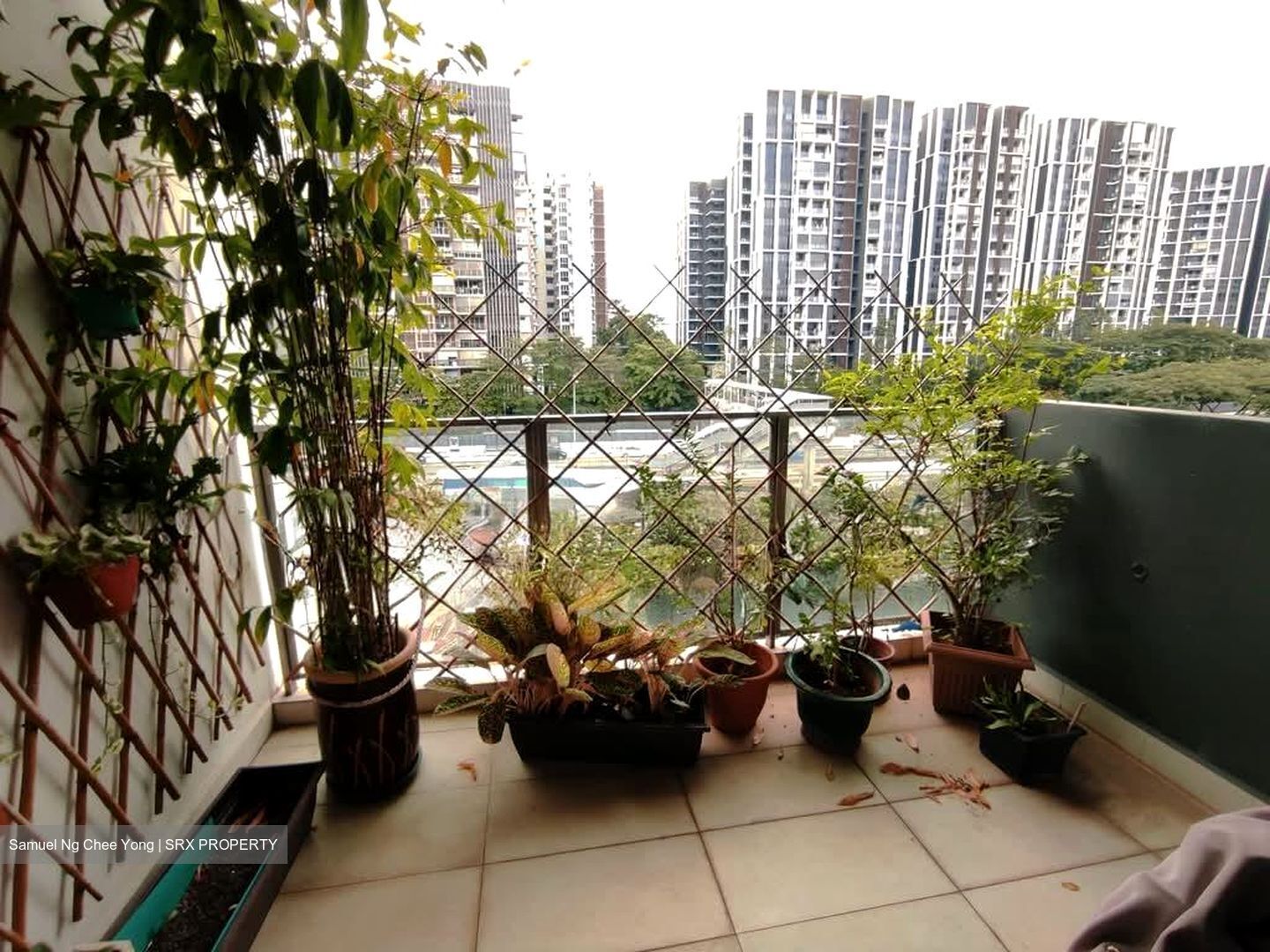 Bartley Ridge (D13), Condominium #534613251